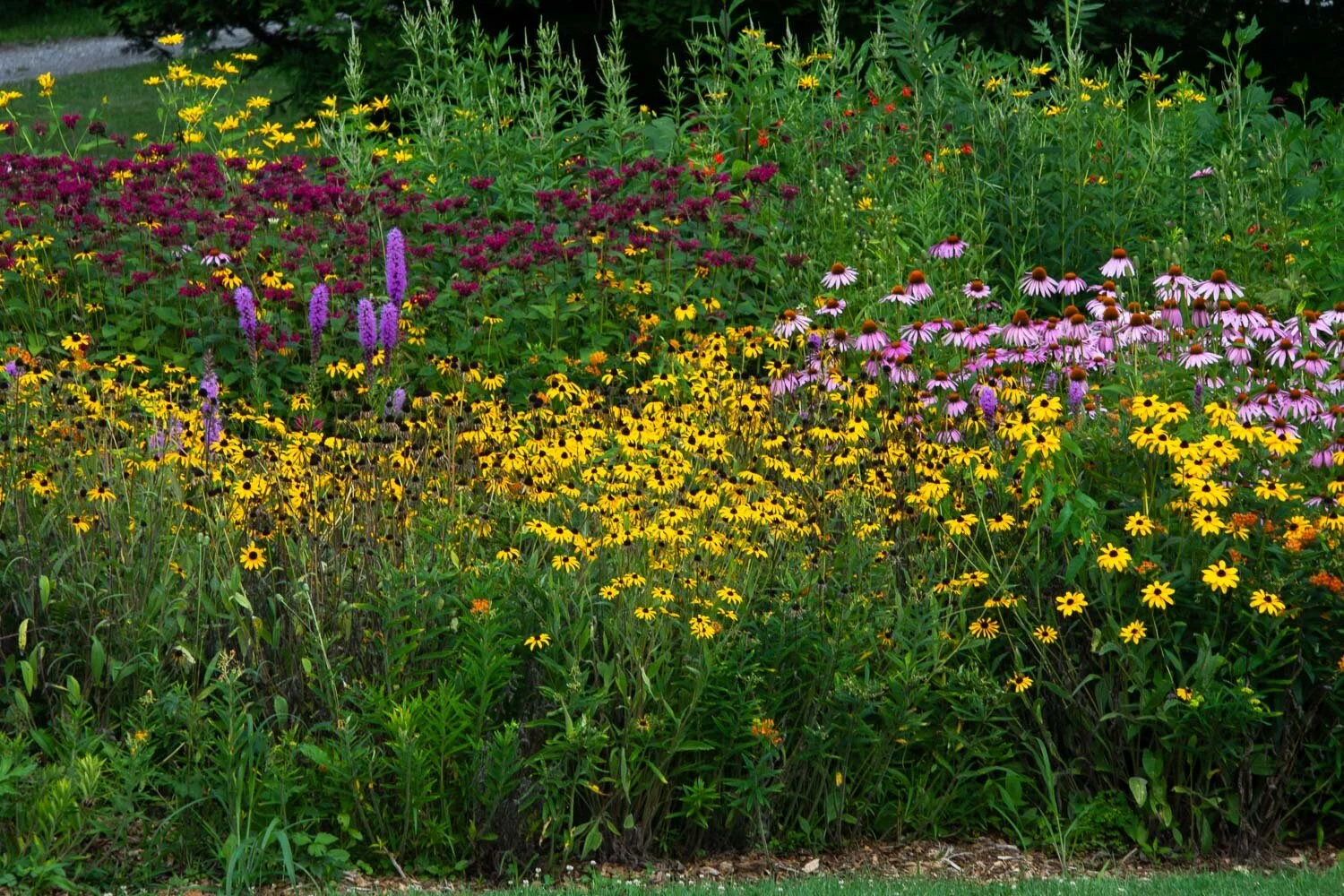 Holden Arboretum, Ohio.