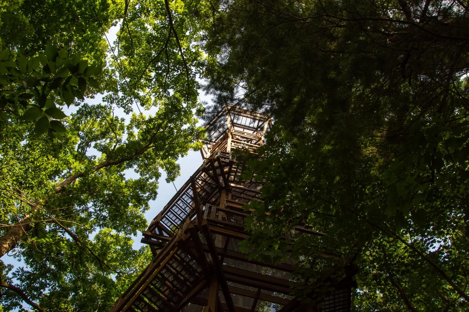 Emergent Tower at Holden Arboretum, Ohio.
