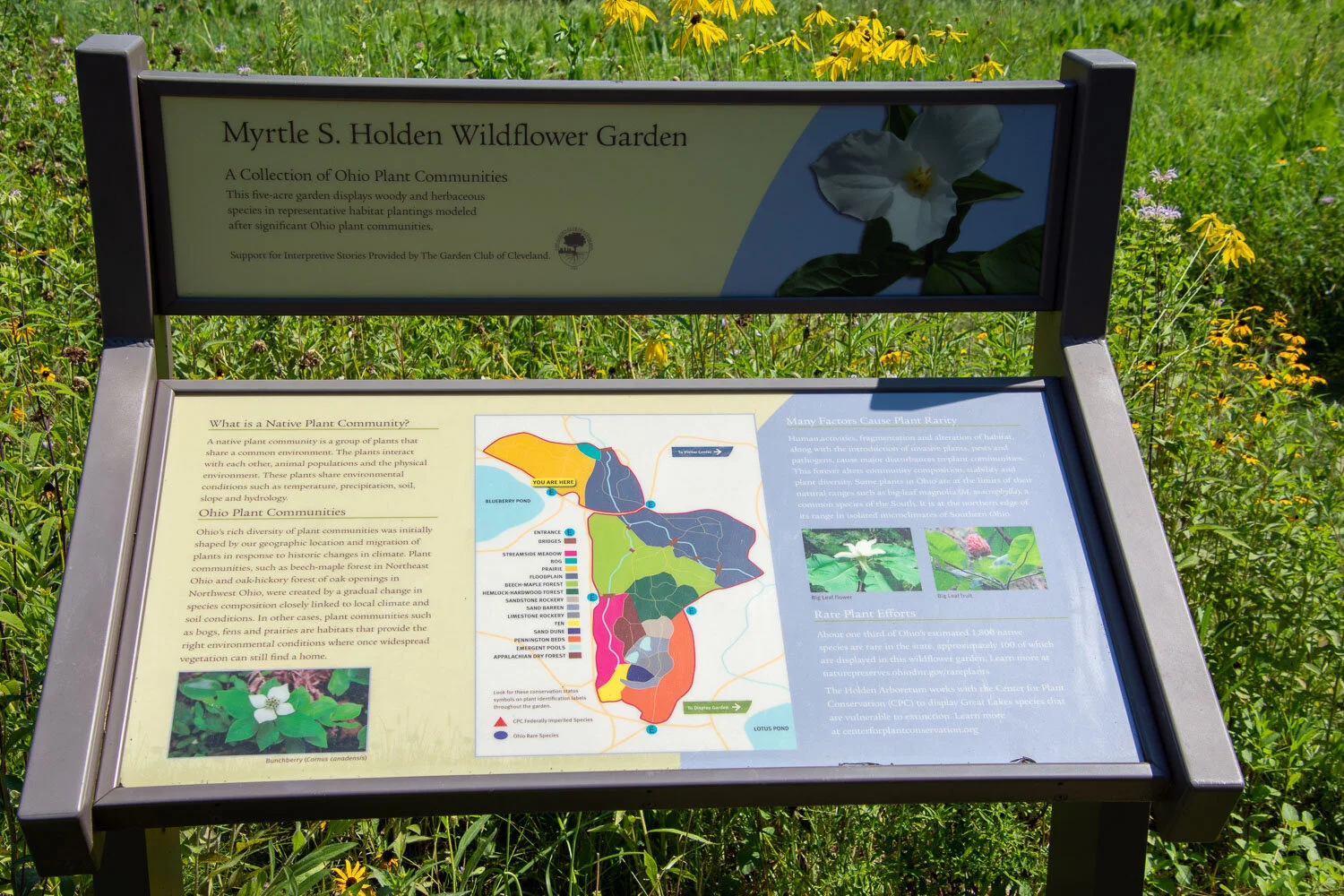 Wilflower garden in Holden Arboretum, Ohio.