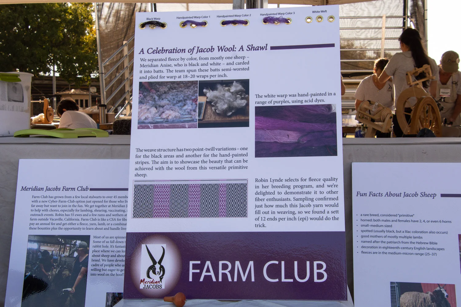 Farm Club team sign.