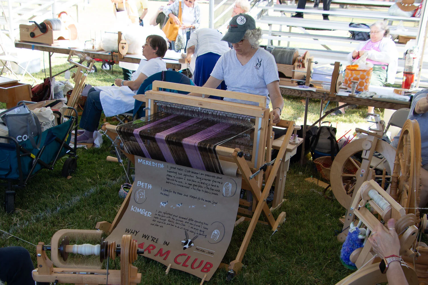 Weaving at sheep to shawl contest