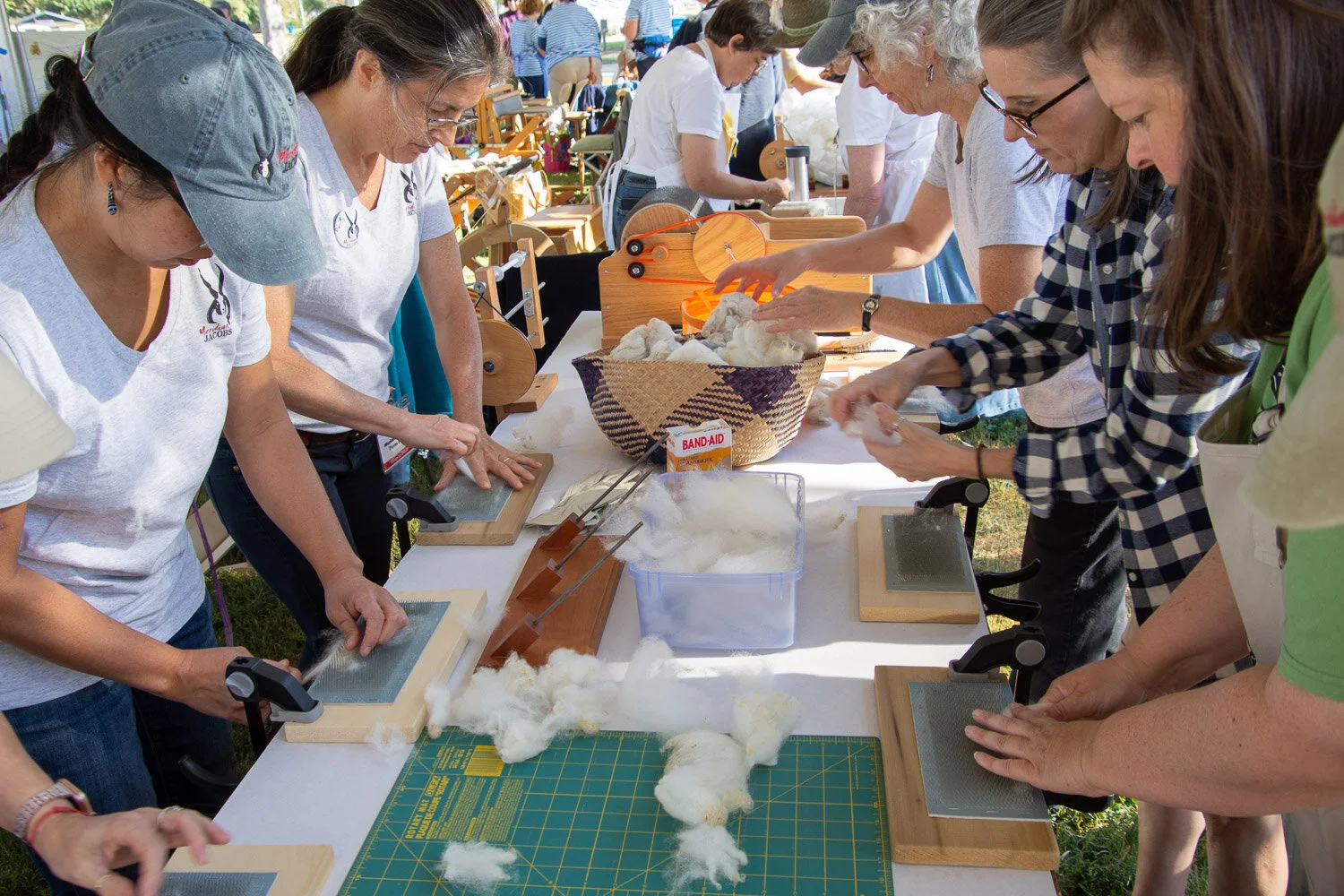 Farm Club sheep to shawl team