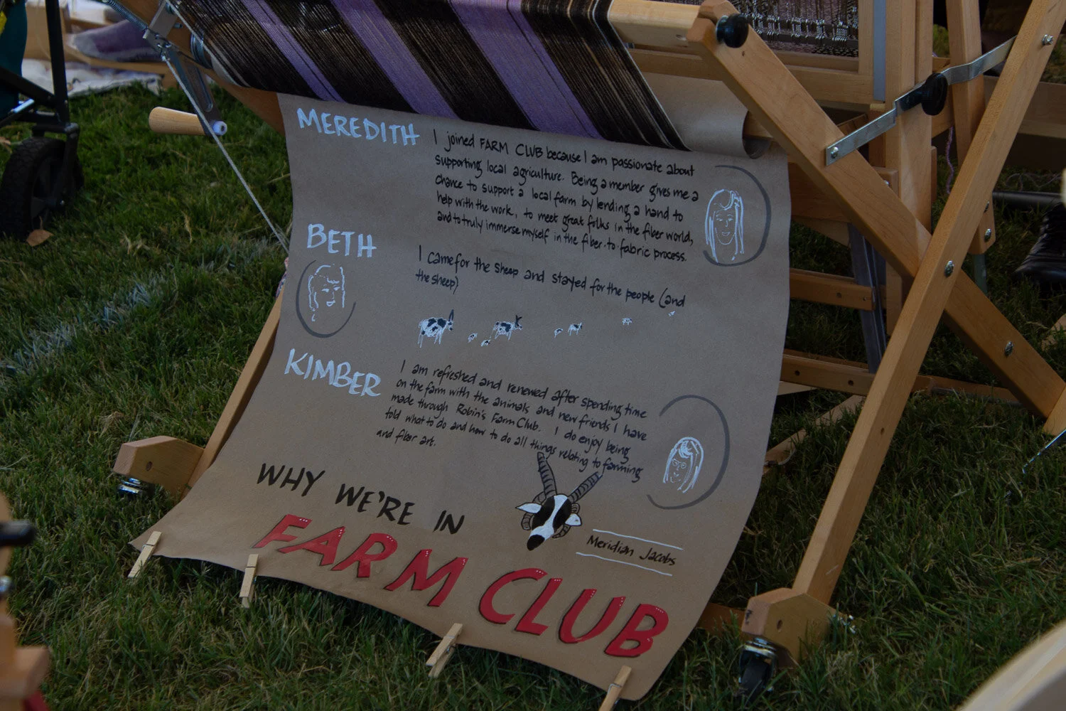 Farm club message at sheep to shawl contest.