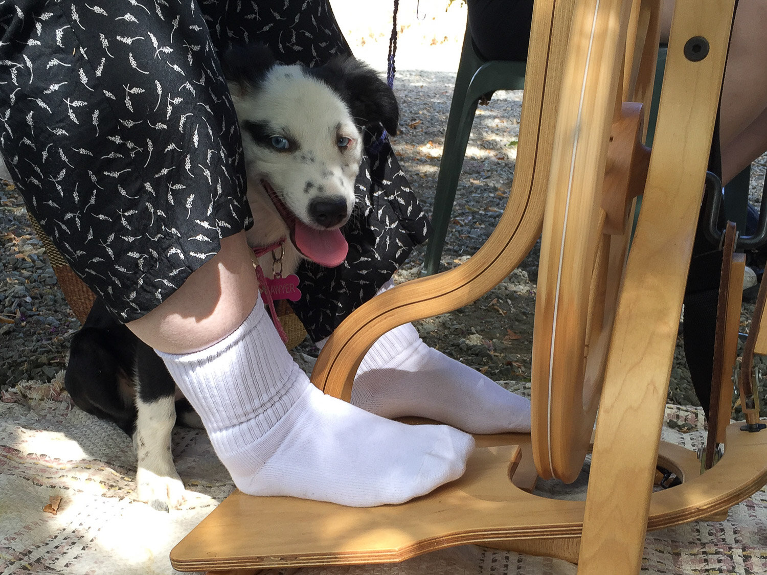 spinning yarn with dog underfoot