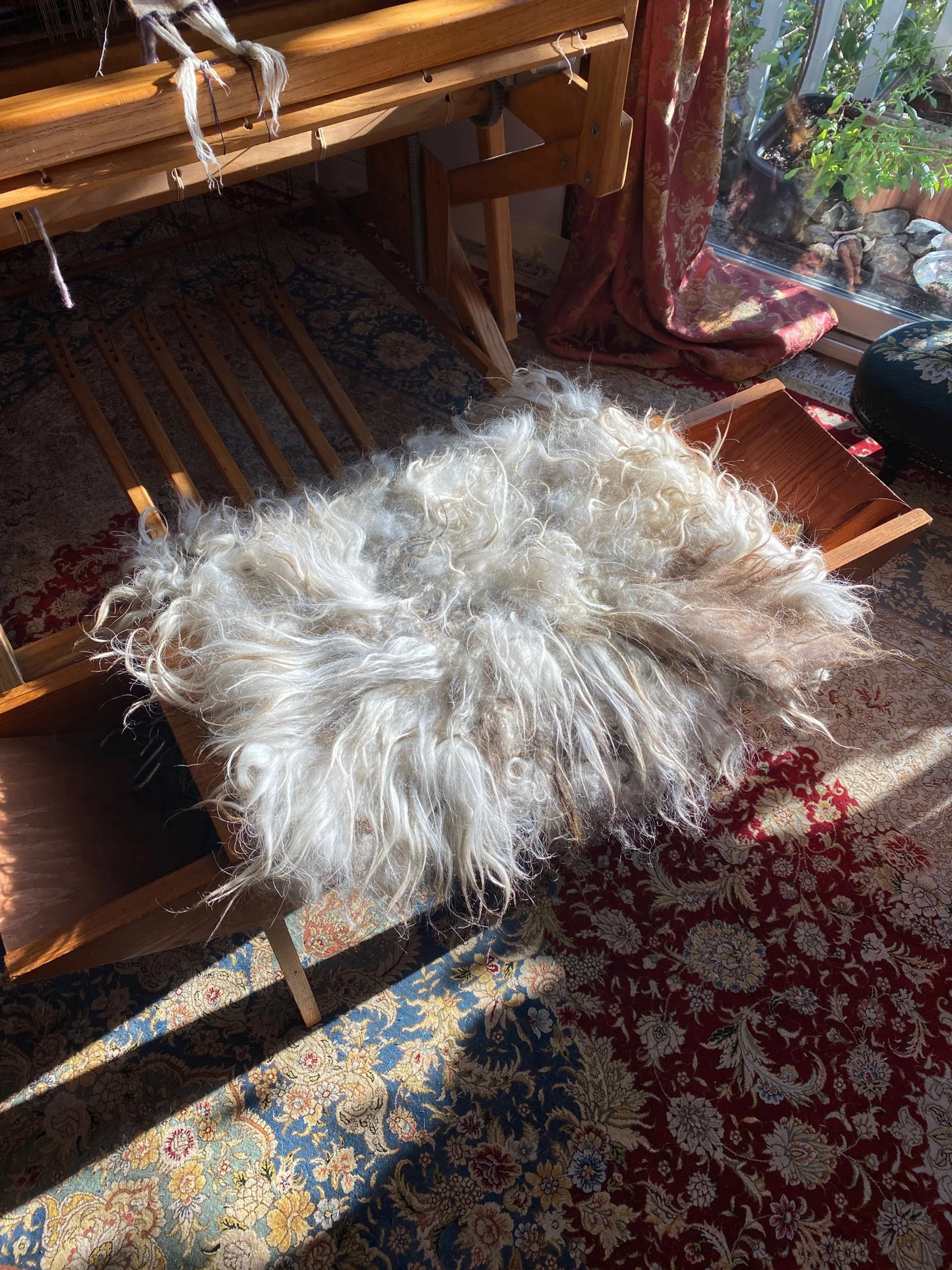 Wool chair pad with long locks of wool evident.