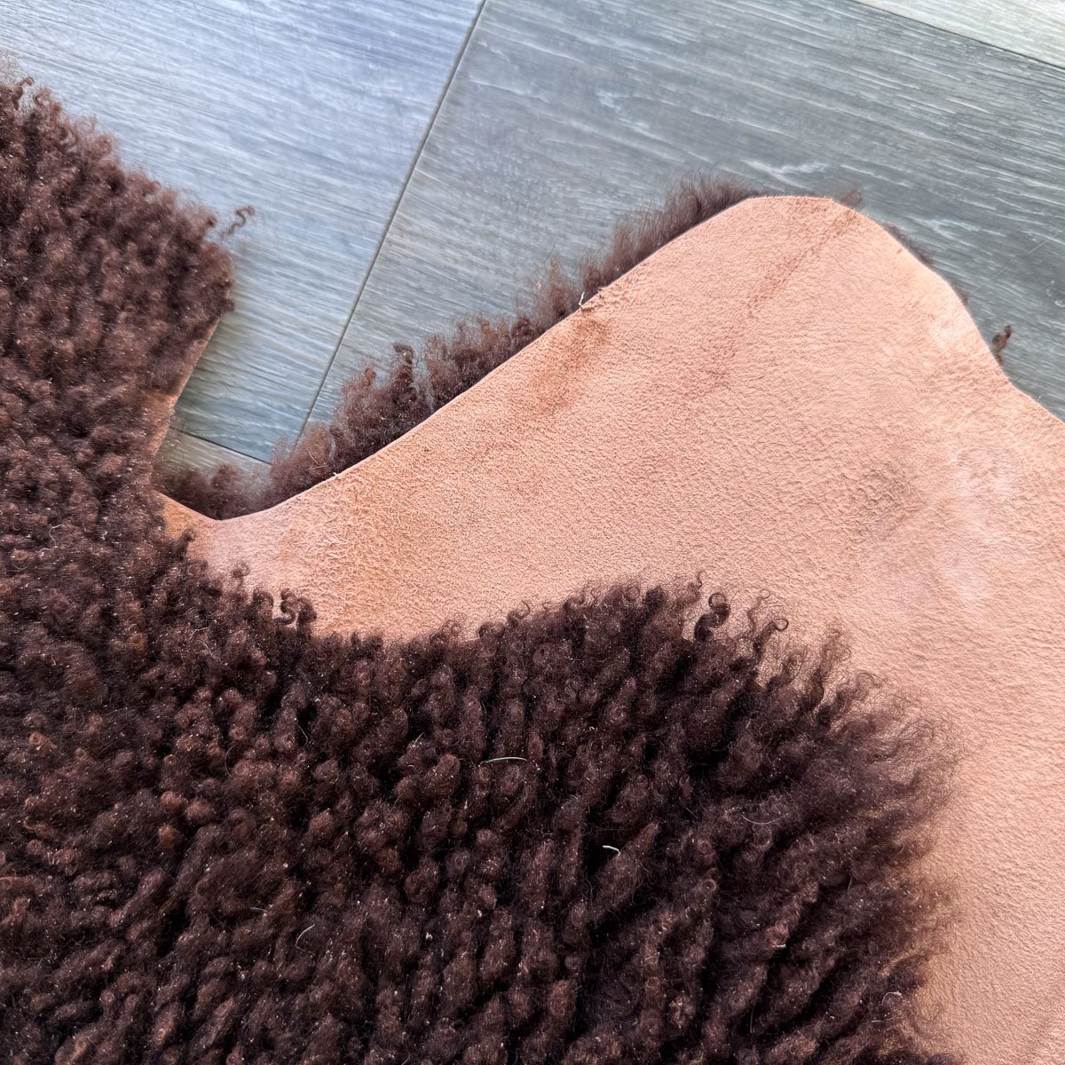 Lambskin-47-3.jpg