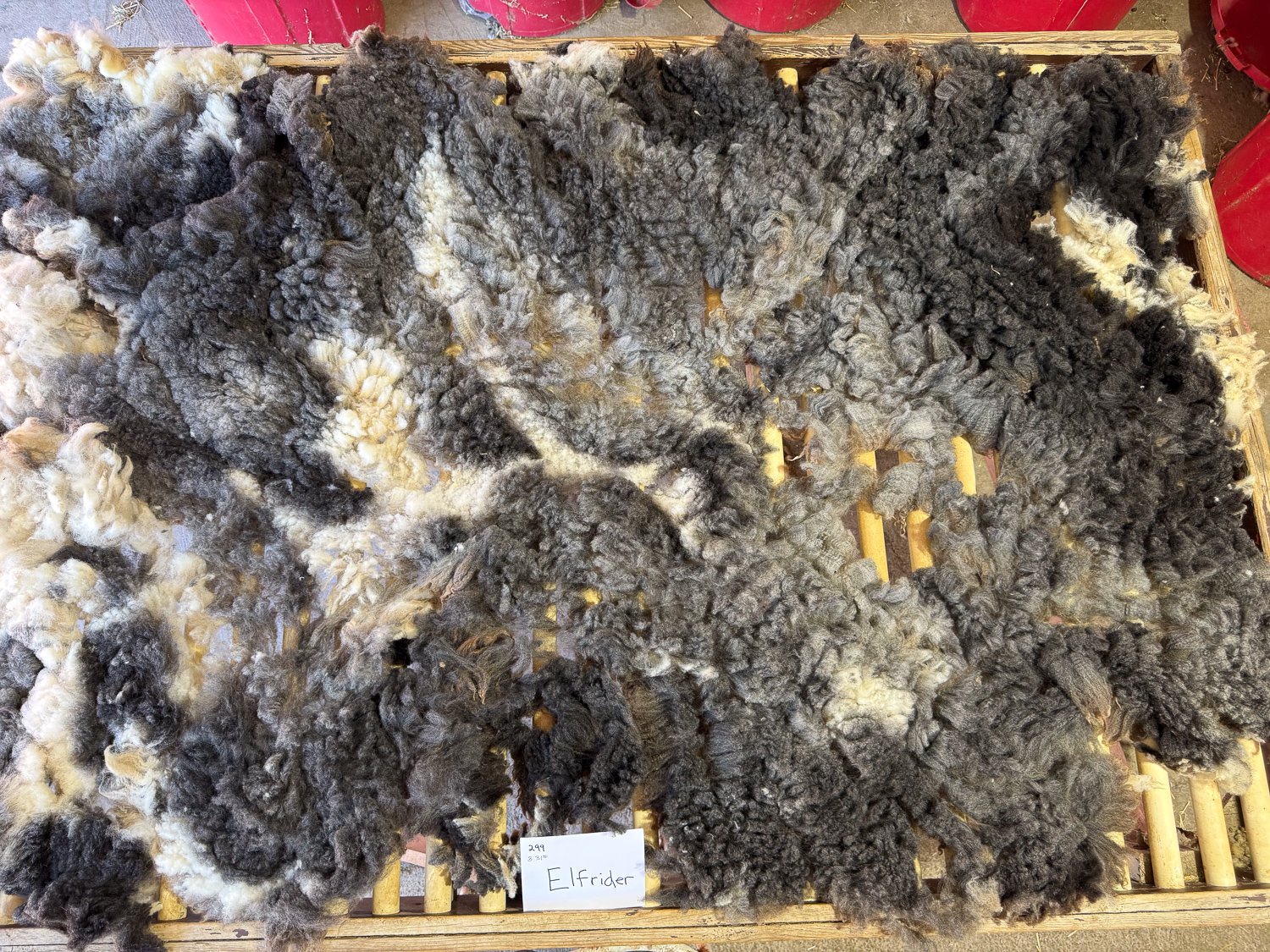 Fleece-Elfrider-2.jpg