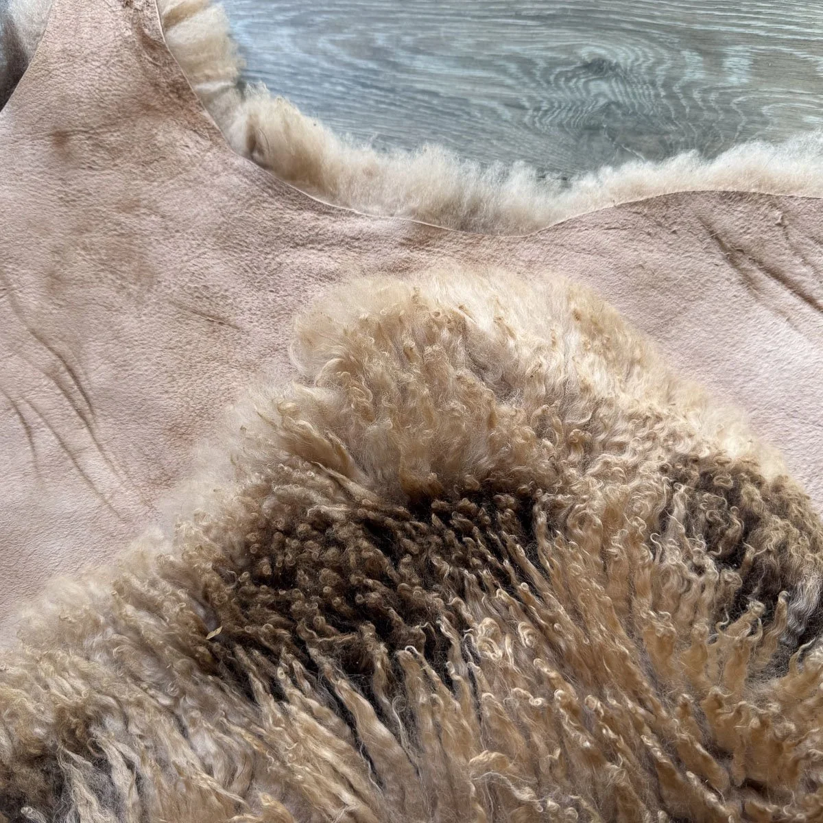 Lambskin-54-2-2.jpg