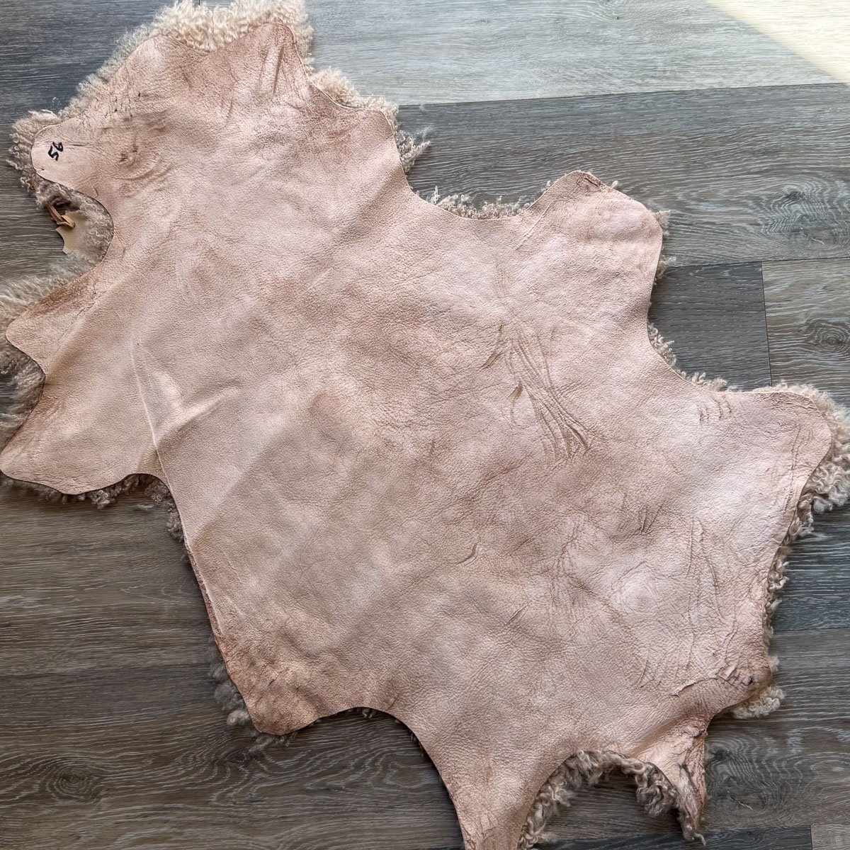 Lambskin-56-1.jpg