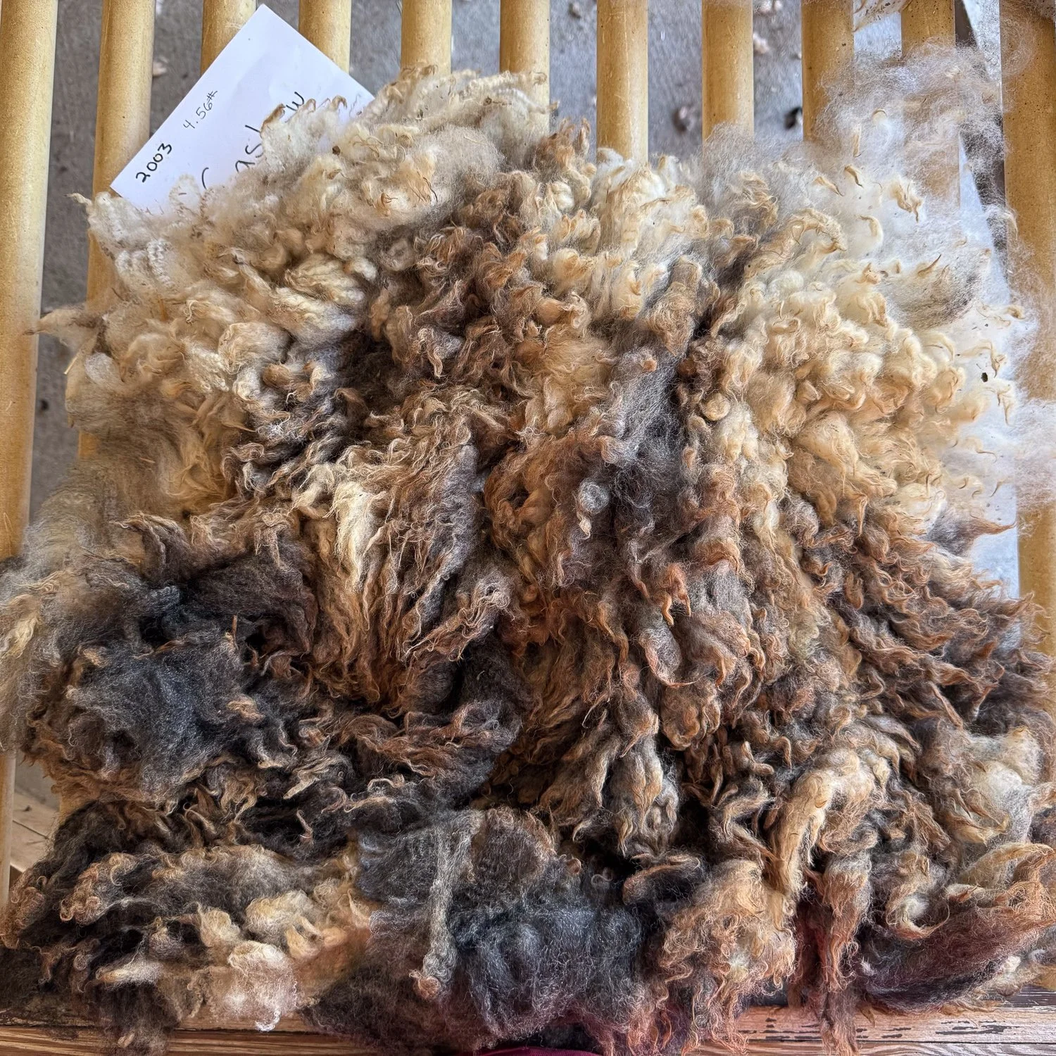 fleece_Cashew1-1.jpg