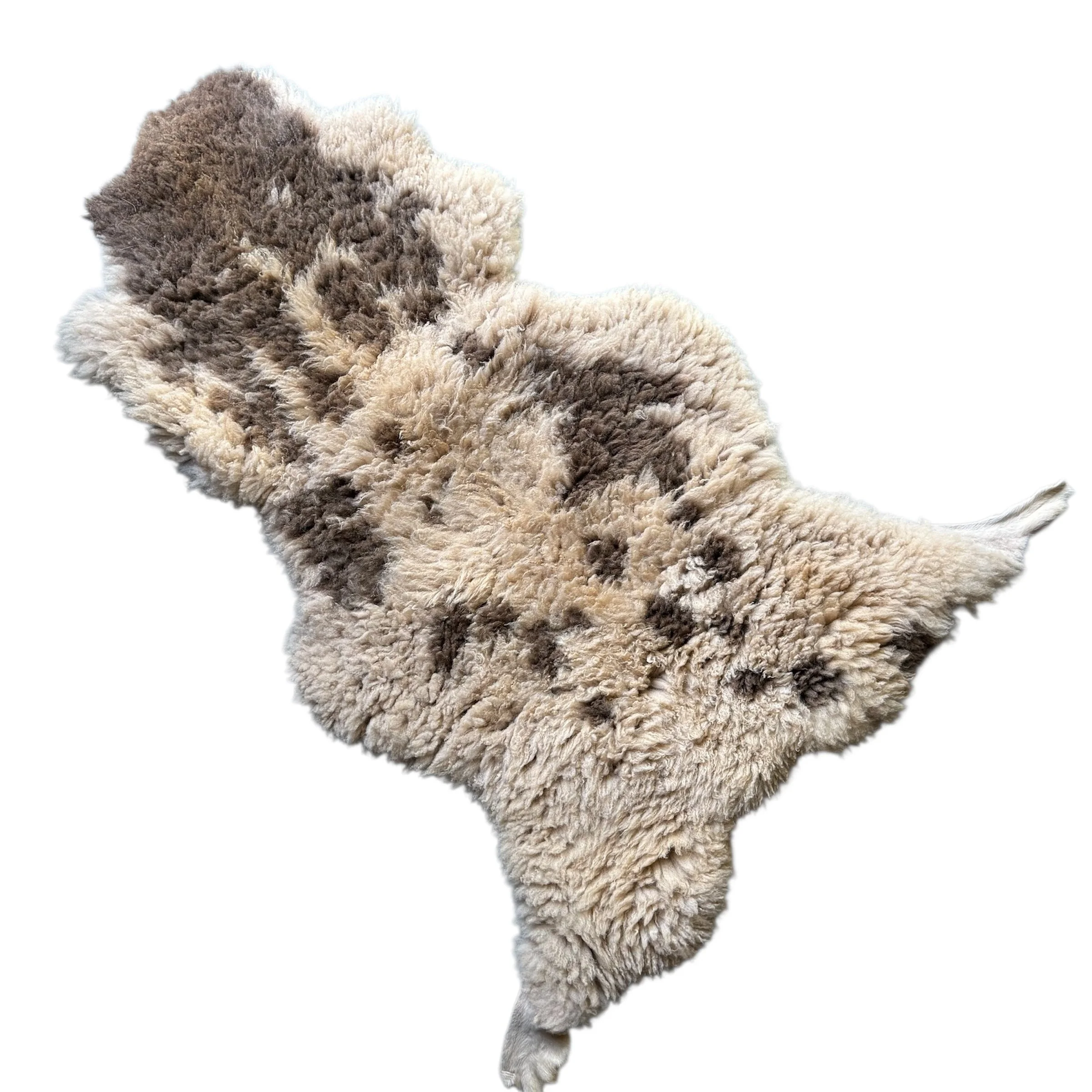 Spotted Jacob sheepskin.