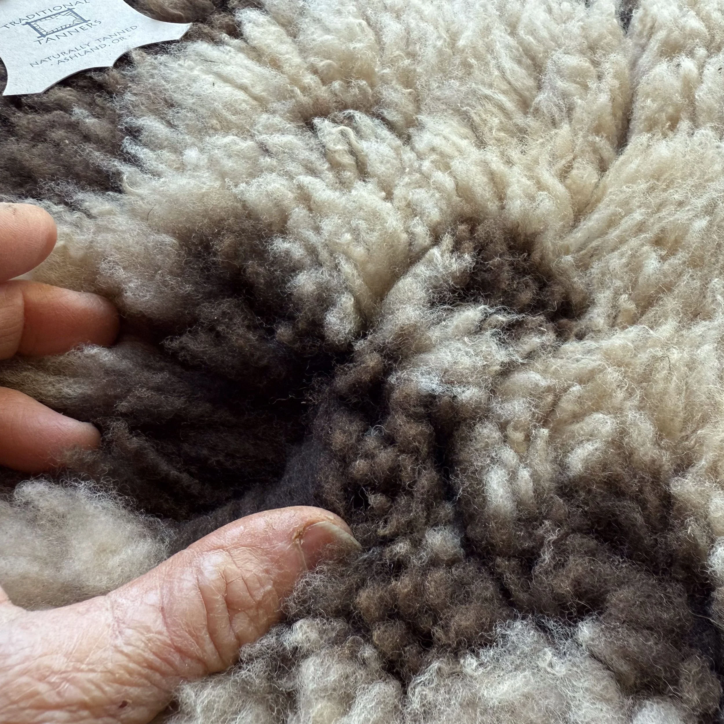 Close view of wool on spotted lambskin.