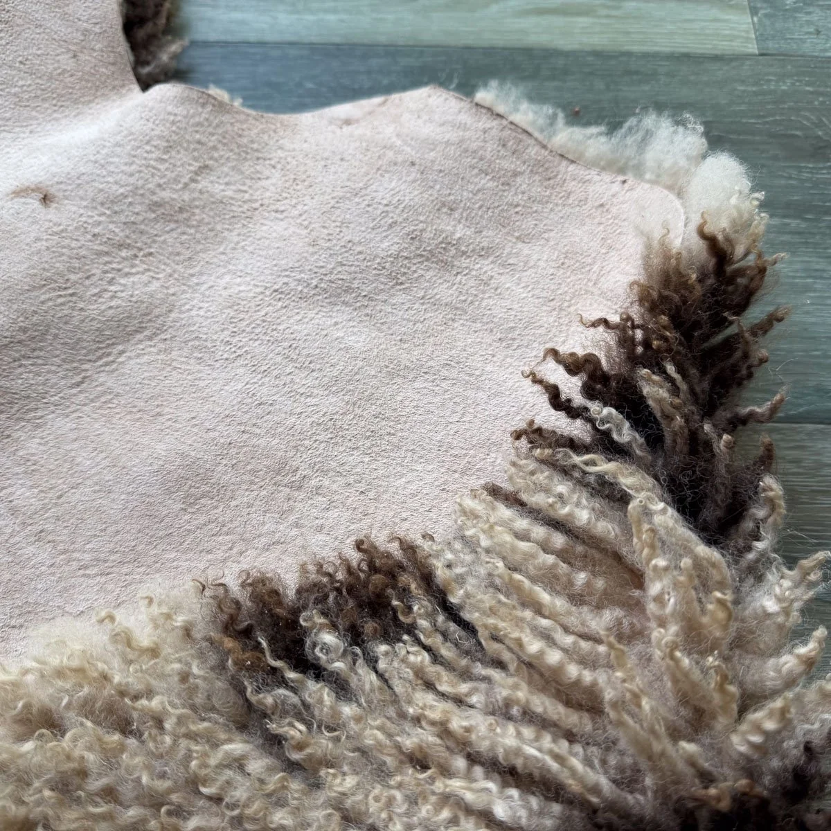 Lambskin-43-2.jpg