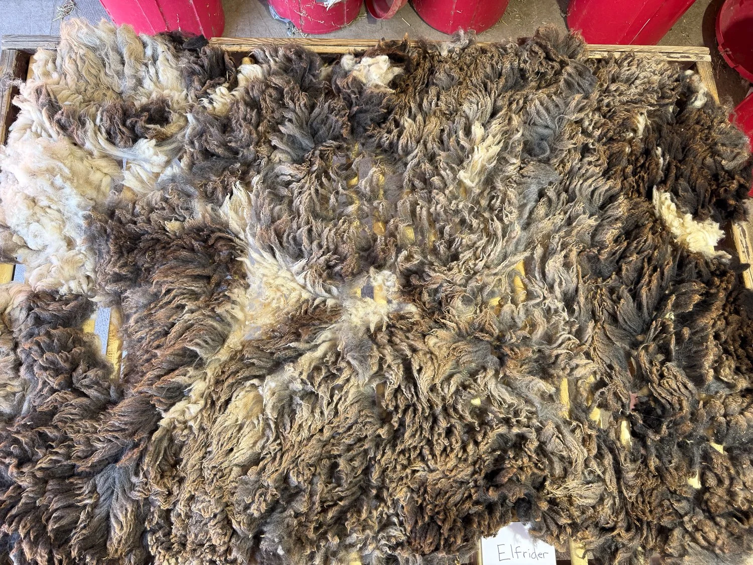 Fleece-Elfrider-1.jpg