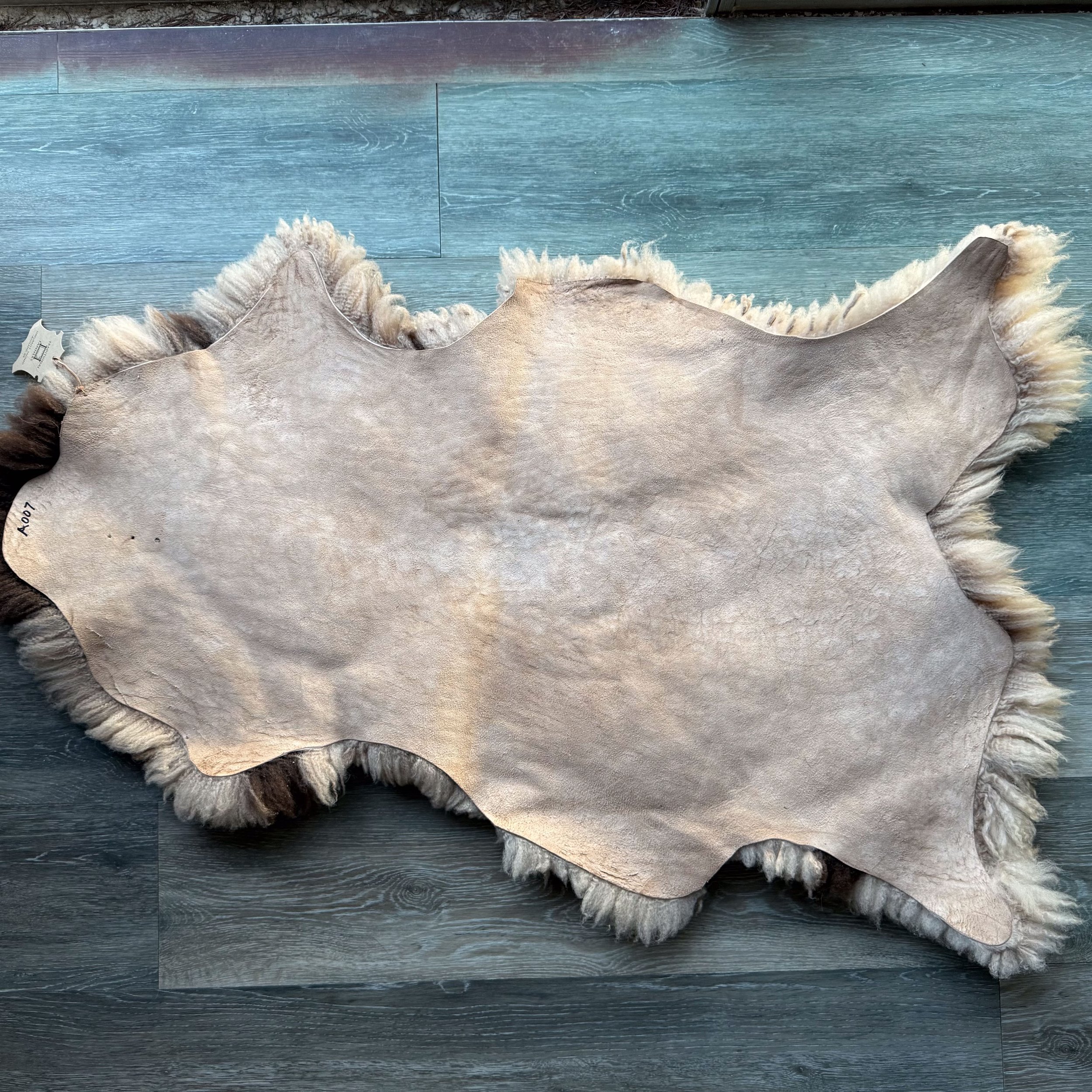 Leather side of Jacob sheepskin.