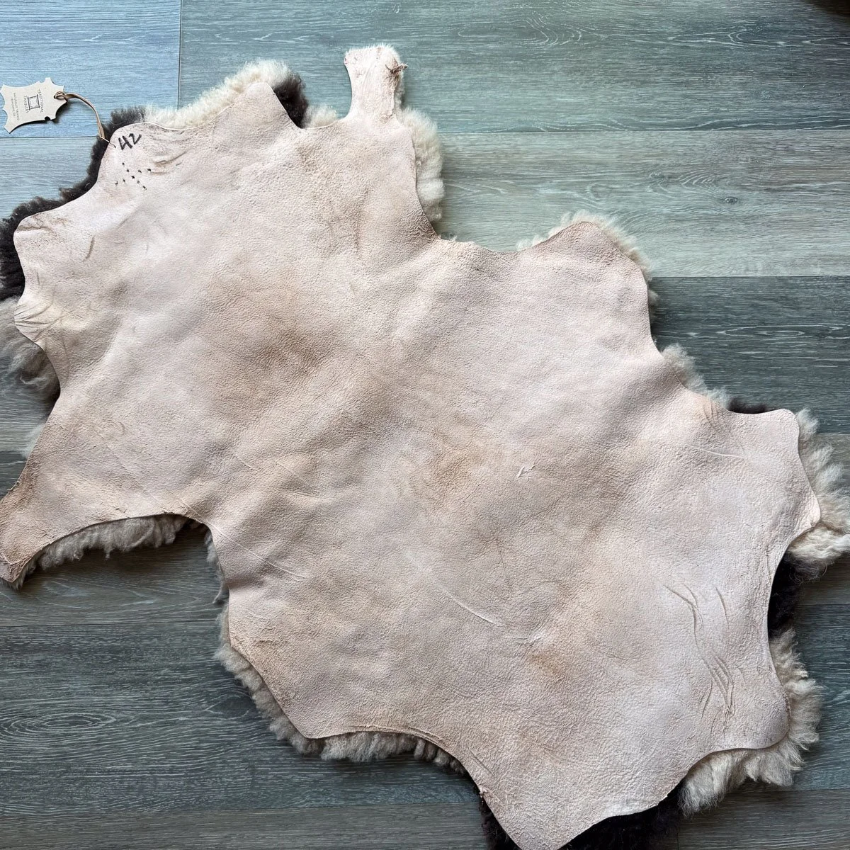 Lambskin-42-1.jpg