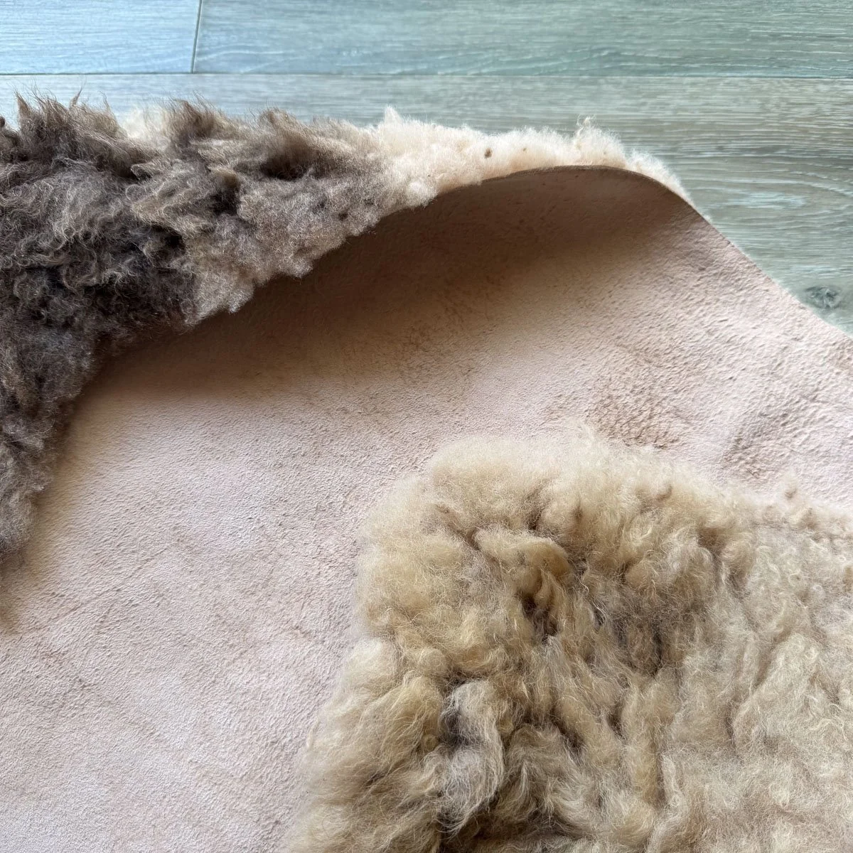 Lambskin-44-2.jpg