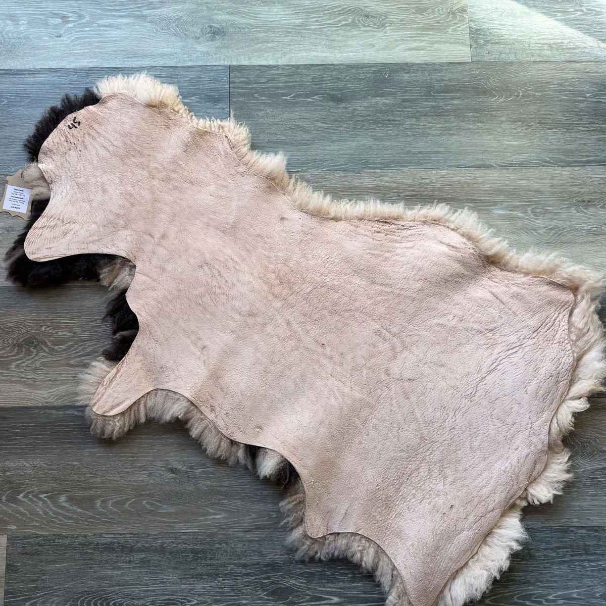 Lambskin-45-1.jpg
