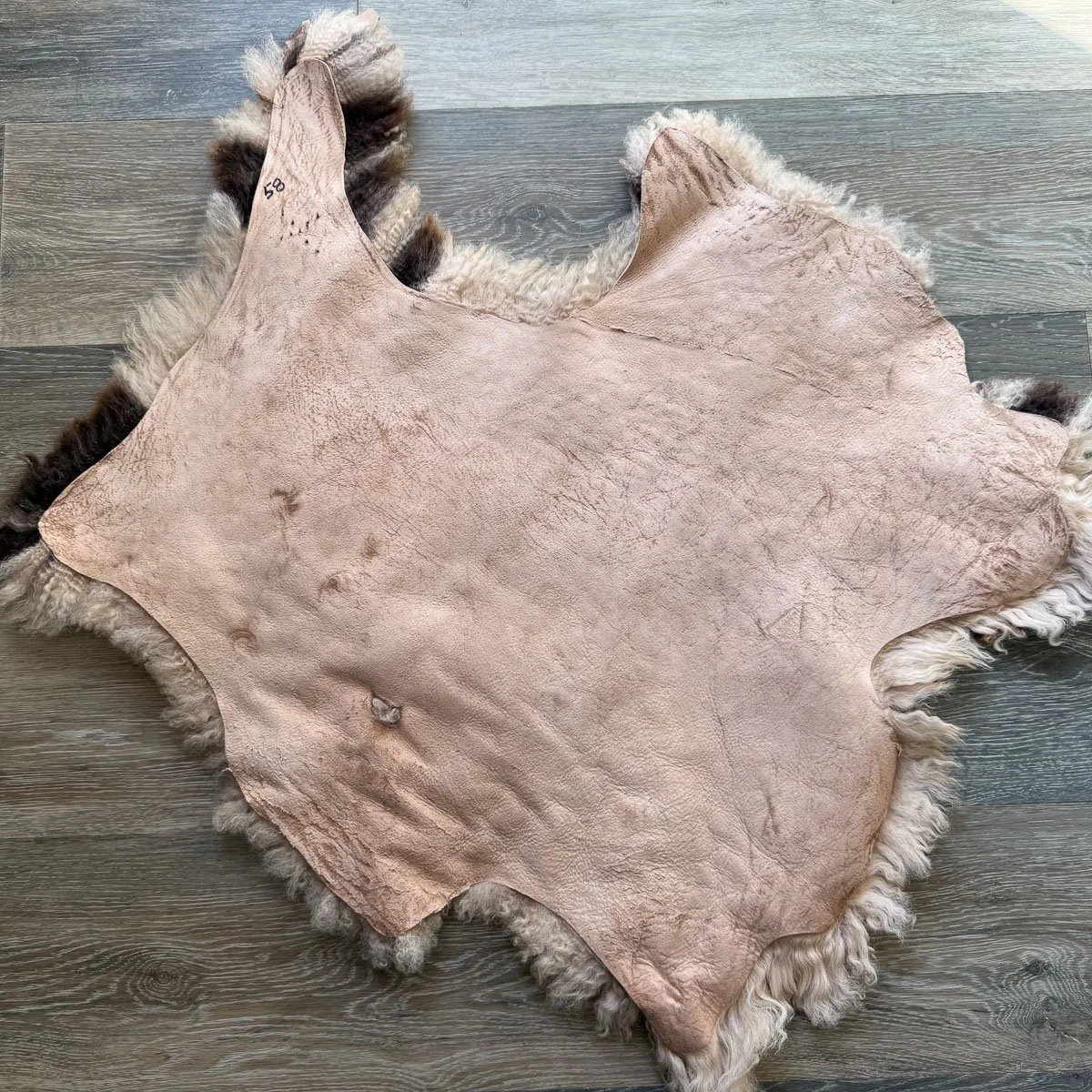 Lambskin-58-1.jpg