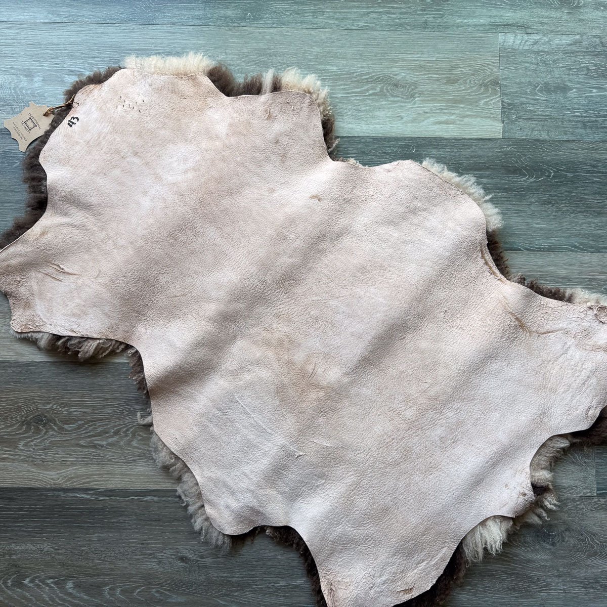 Lambskin-43-1.jpg