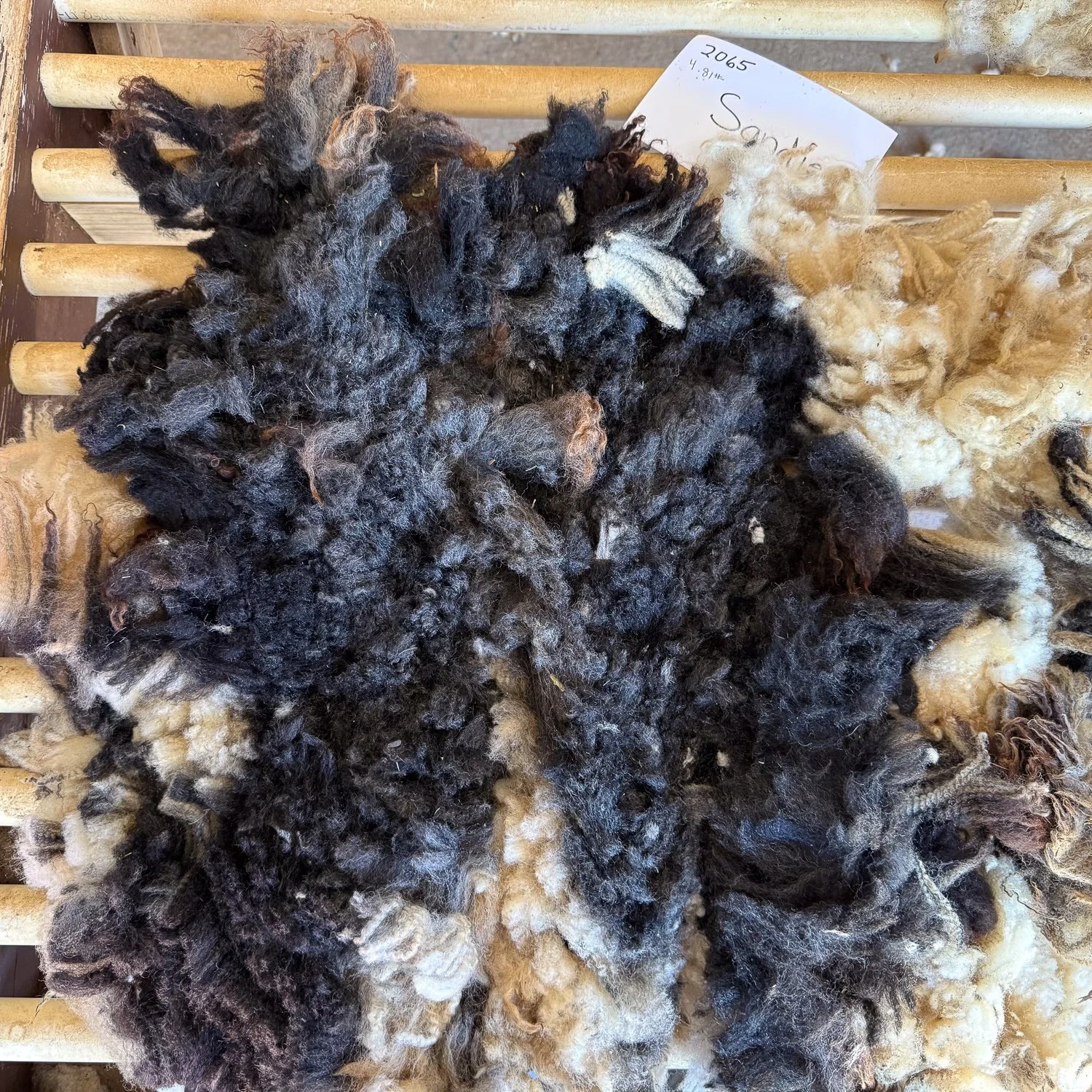 fleece_Sandie2-2.jpg