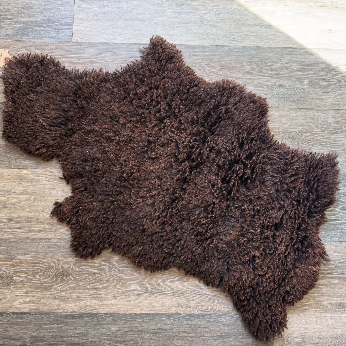 Lambskin-55-2.jpg
