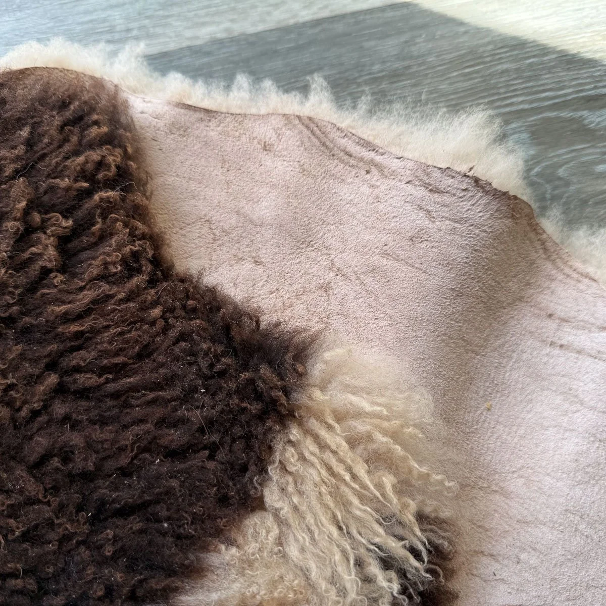 Lambskin-57-2.jpg