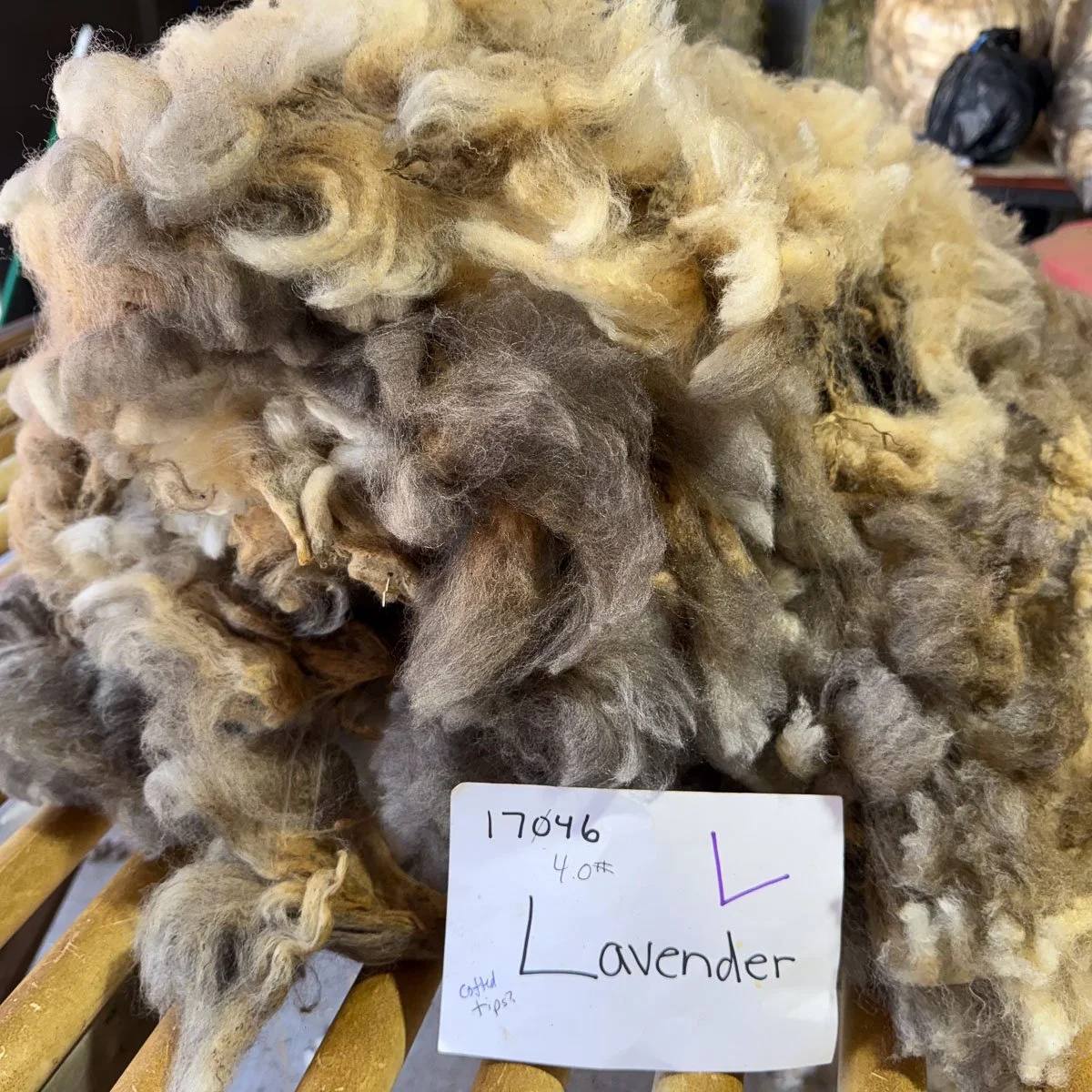 Fleece-Lavender-5.jpg