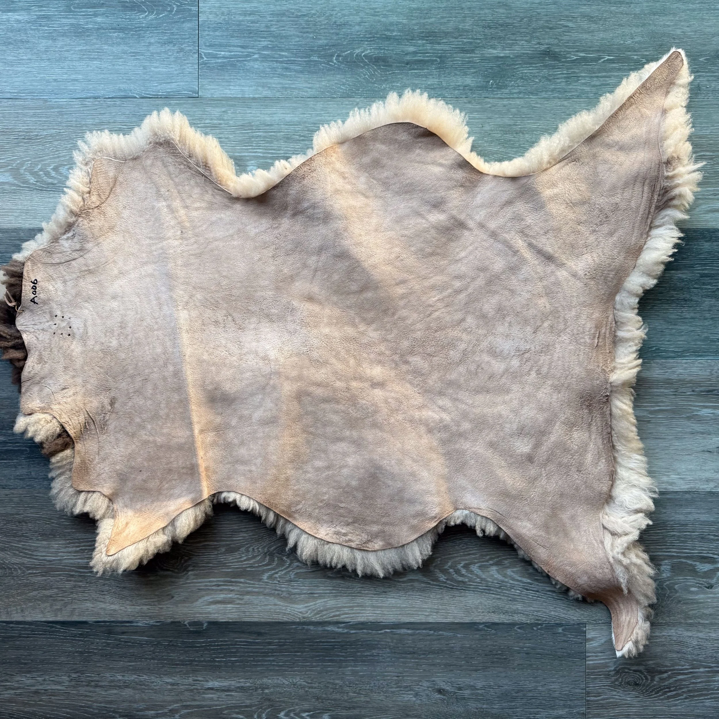Leather side of spotted lambskin.