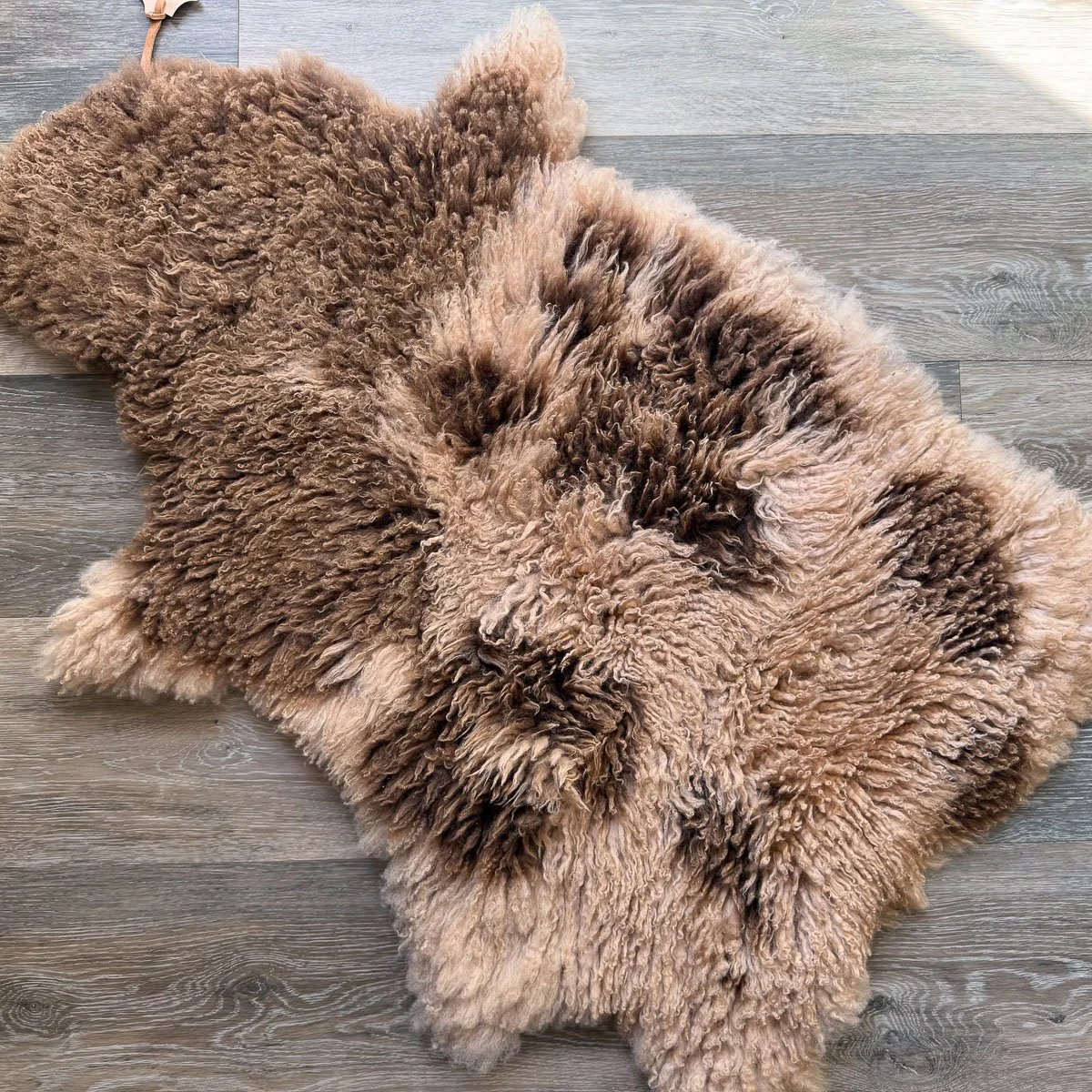 Lambskin-54-3.jpg