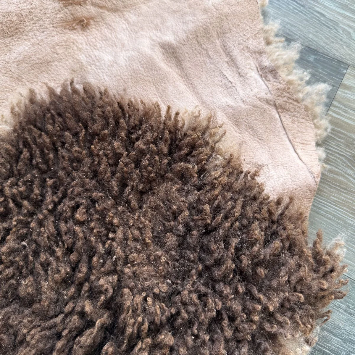 Lambskin-60-2.jpg