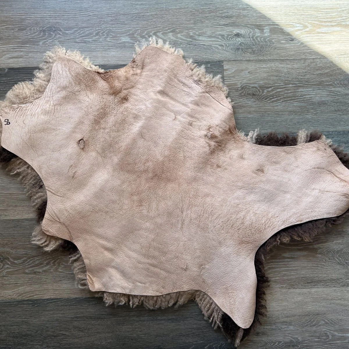Lambskin-60-1.jpg