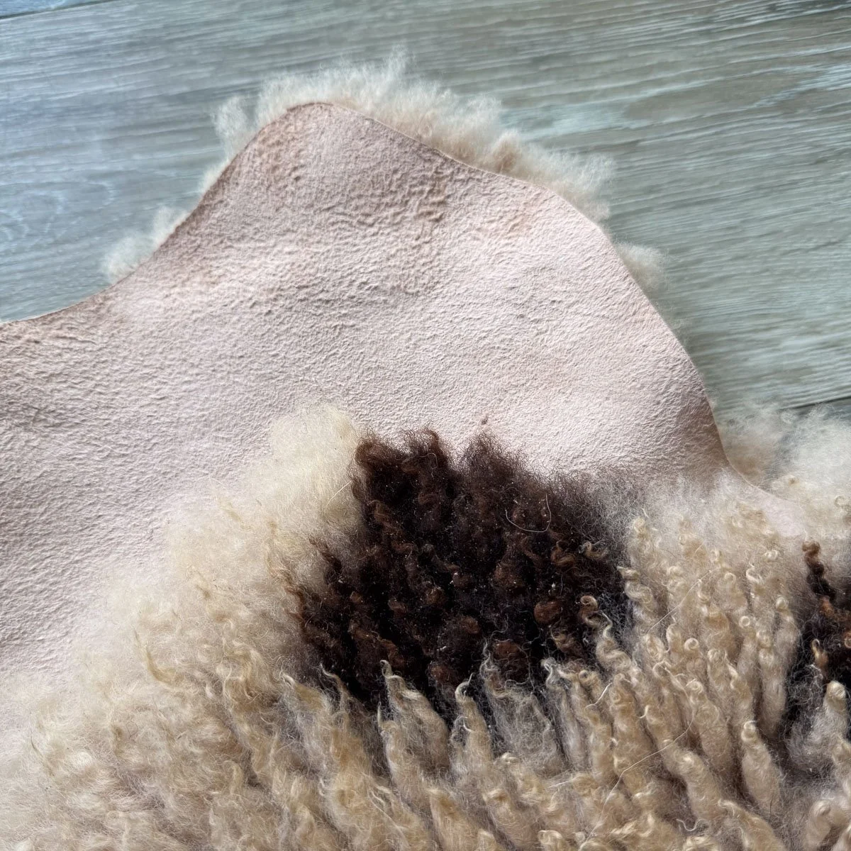 Lambskin-42-2.jpg