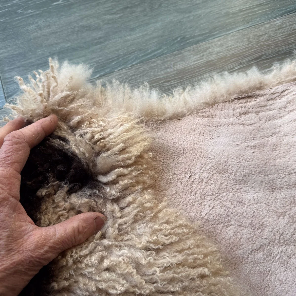 Lambskin-45-2.jpg