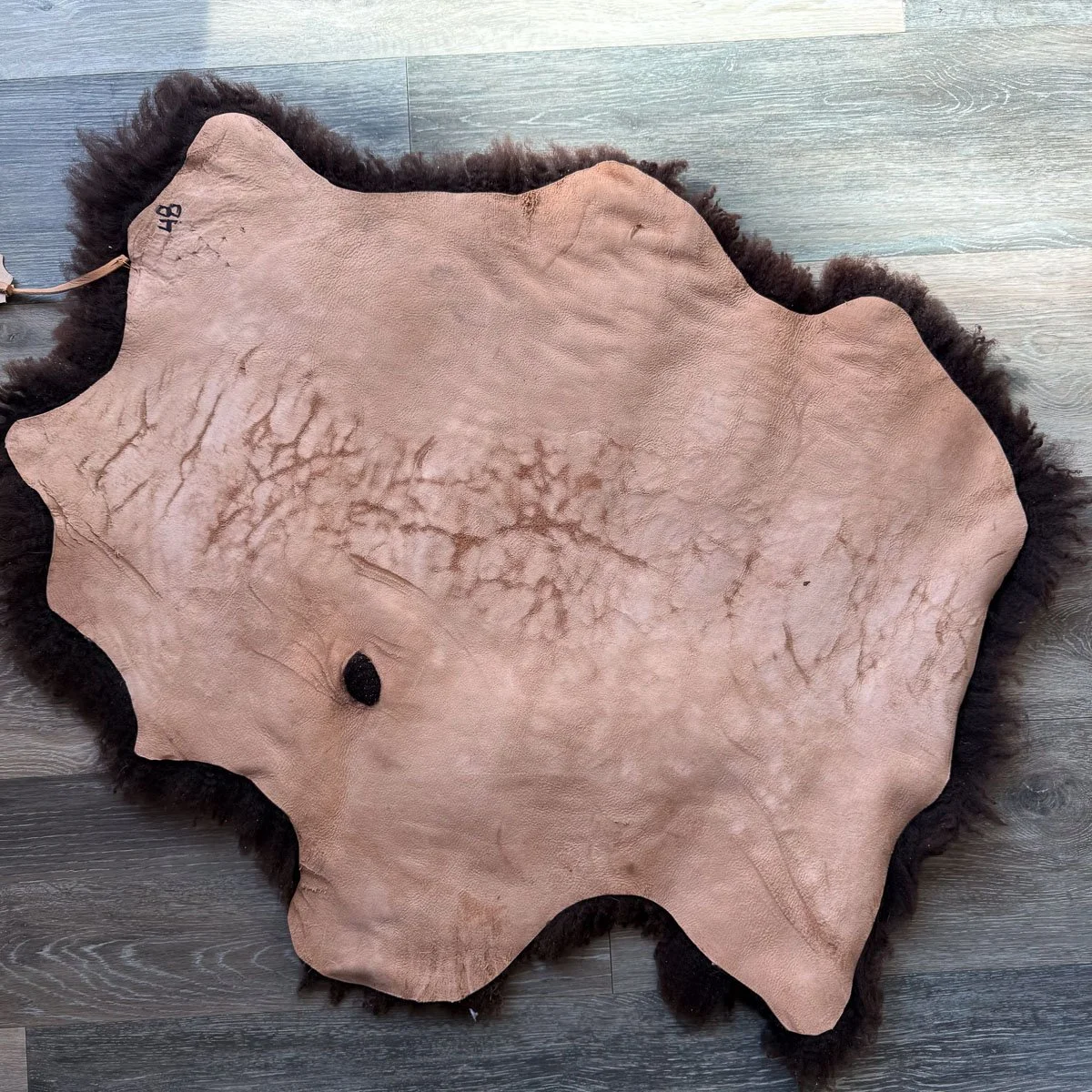 Lambskin-48-1.jpg