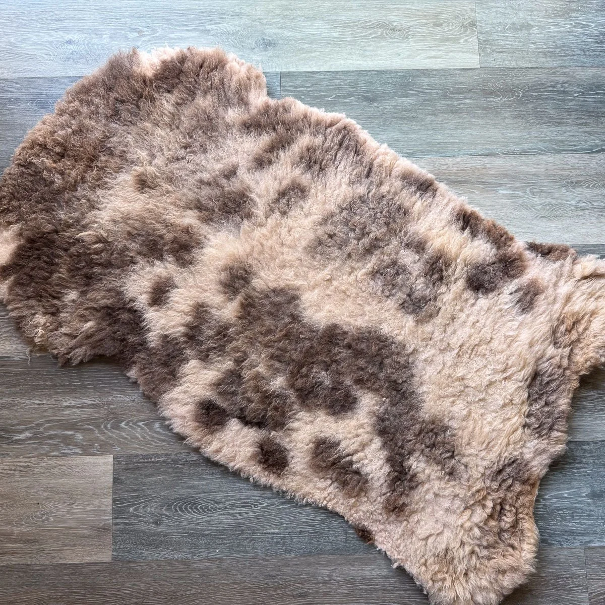 Lambskin-44-3.jpg