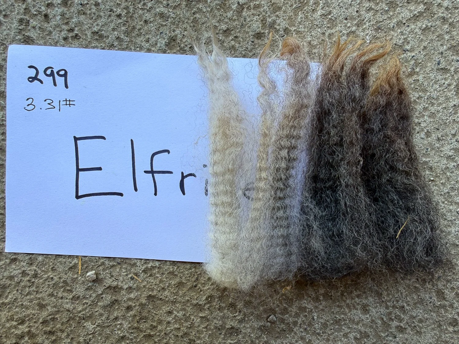 Fleece-Elfrider-3.jpg