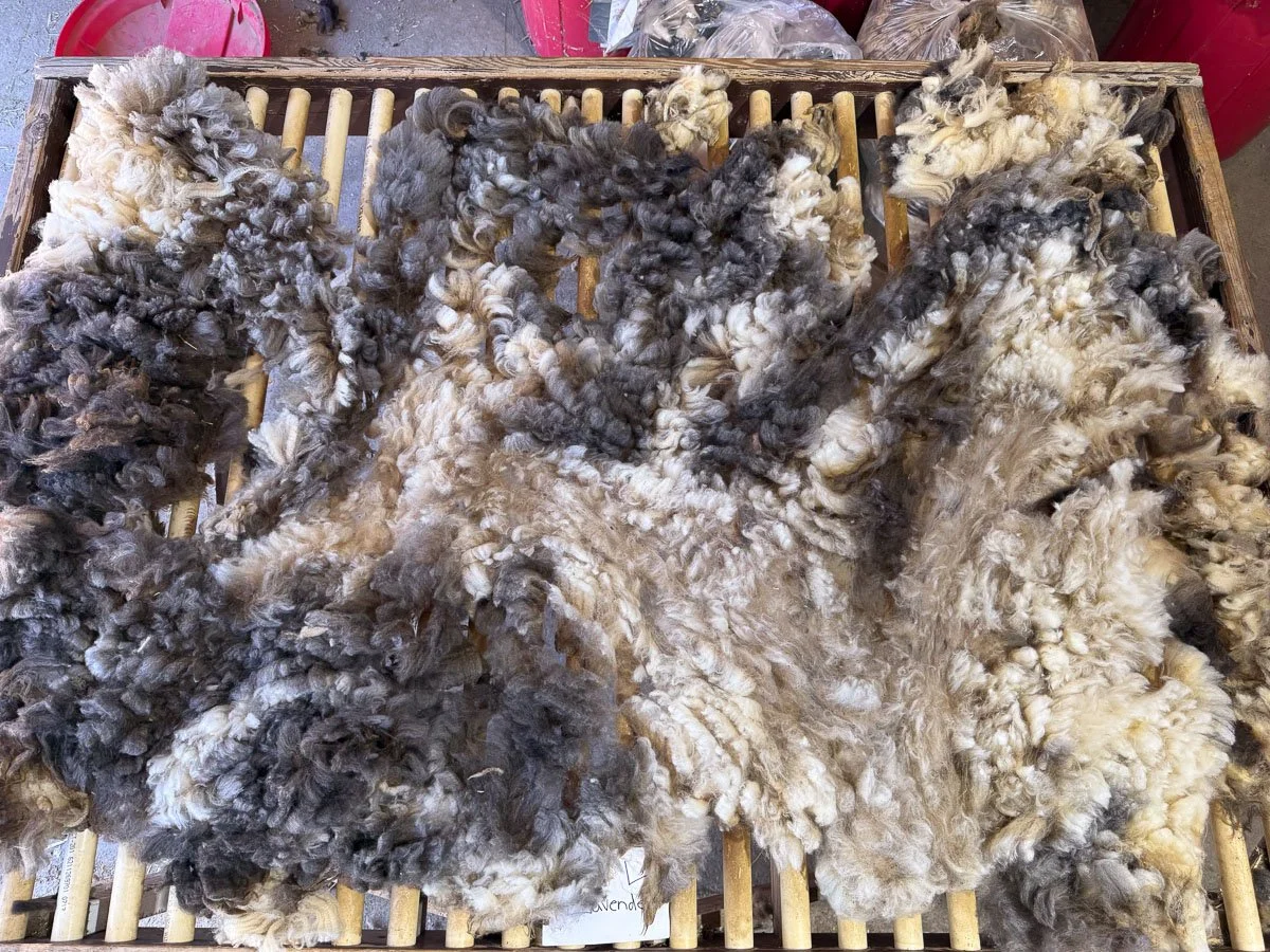 Fleece-Lavender-4.jpg