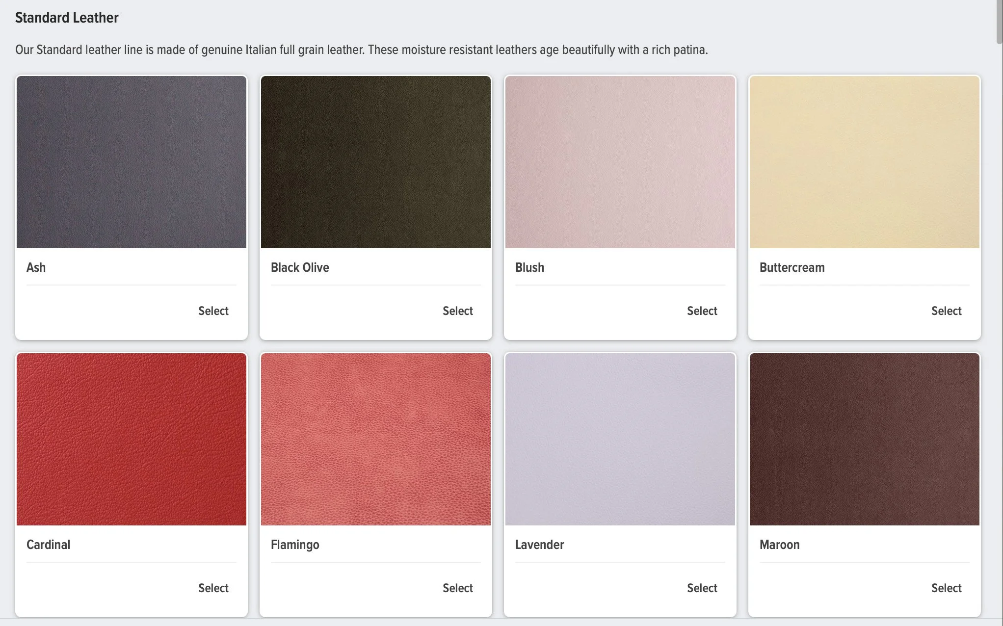 Standard Leather.jpg