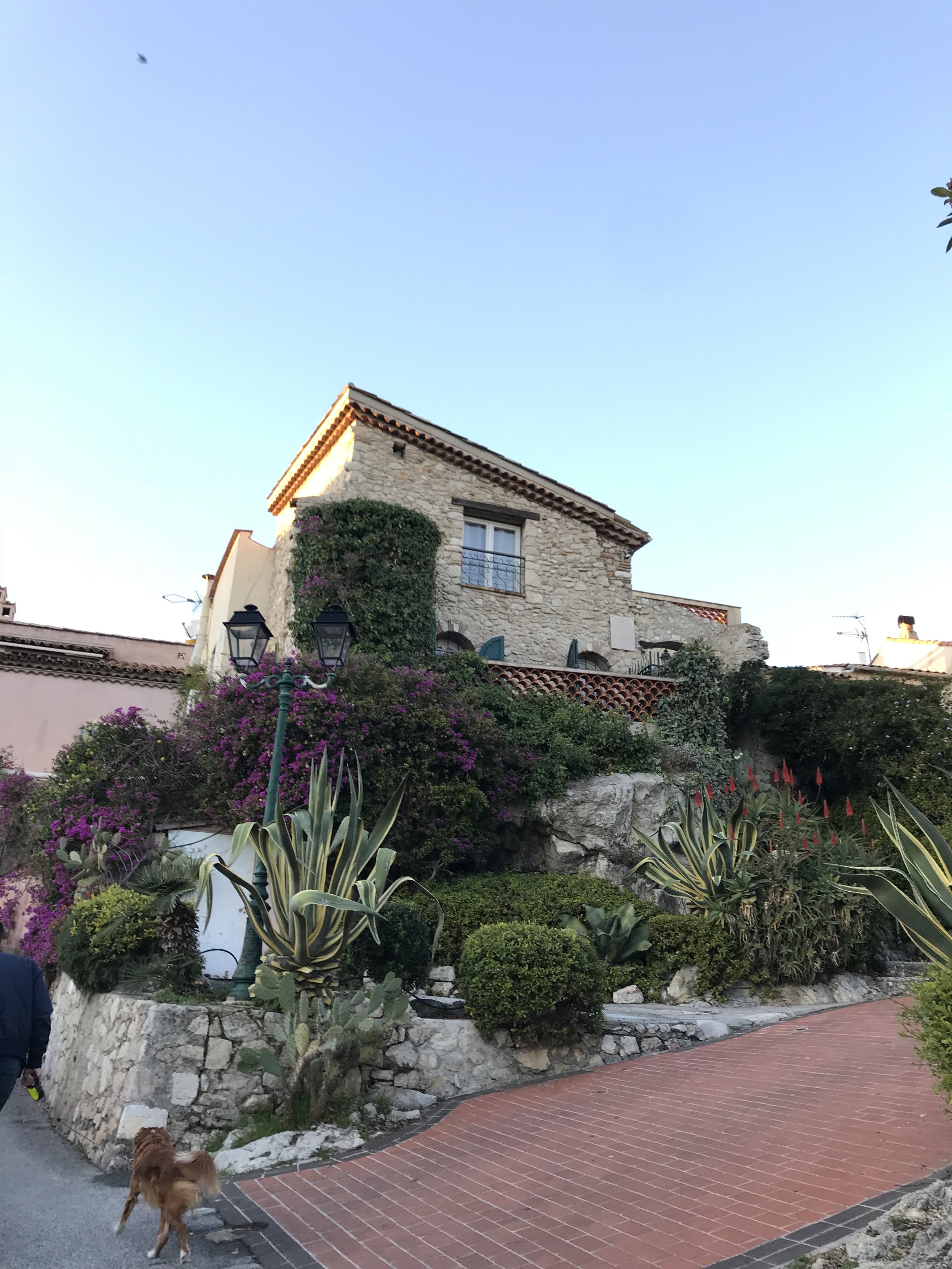 IMG_1185.jpeg