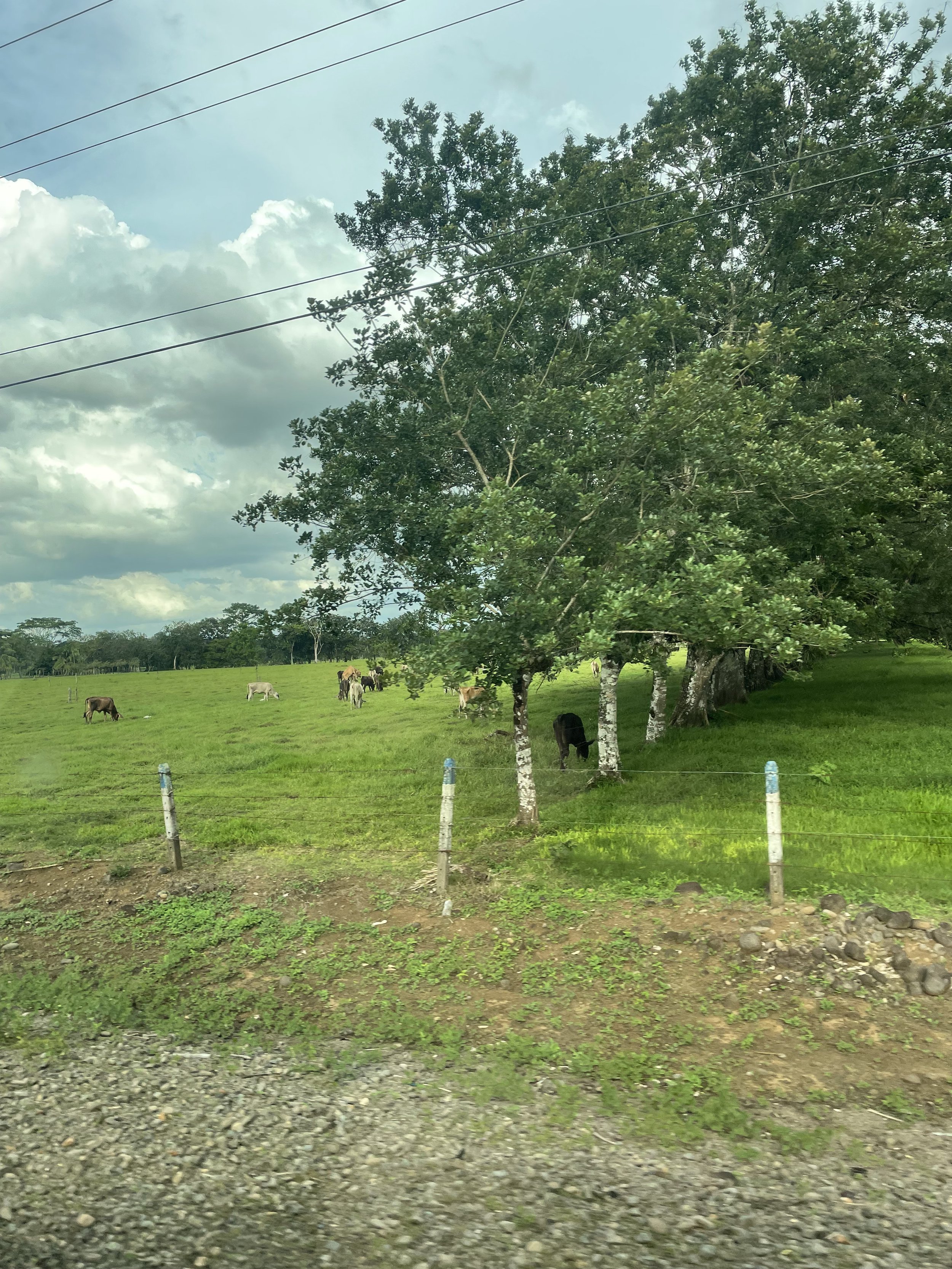 IMG_1585.jpeg