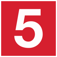 Red number 5 Icon