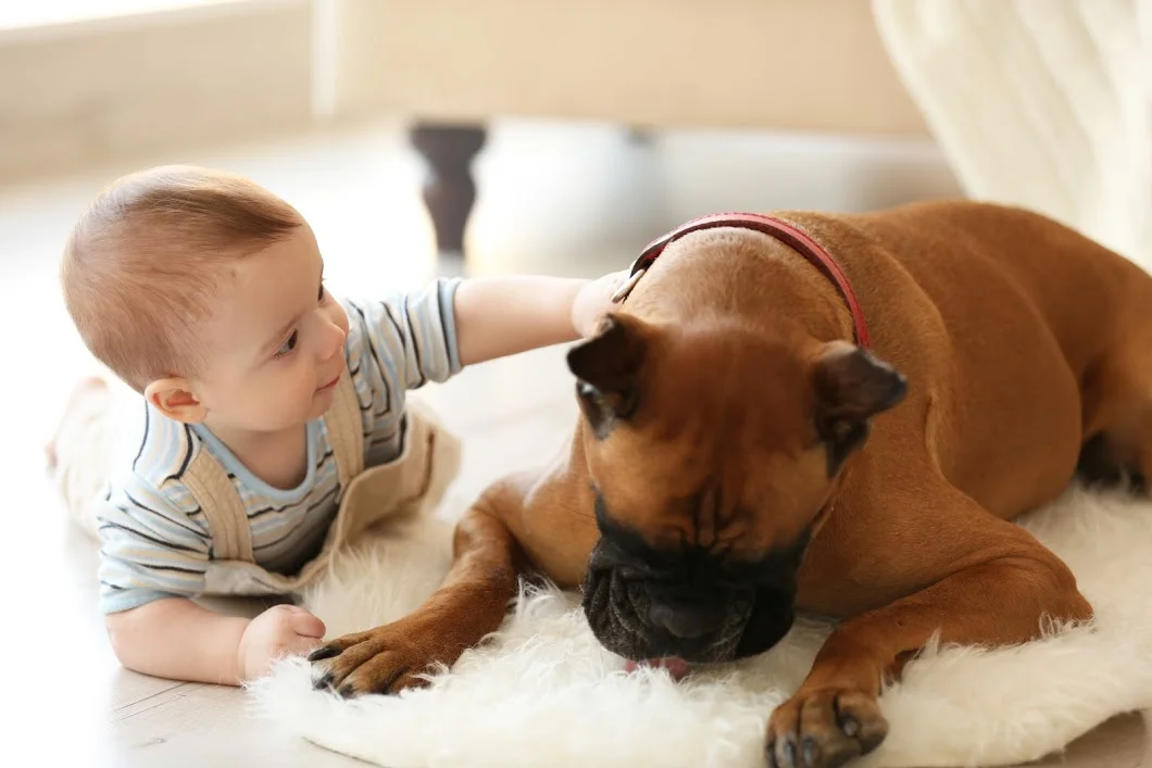 Become aware of “grumble” & “growl” zones in your home.