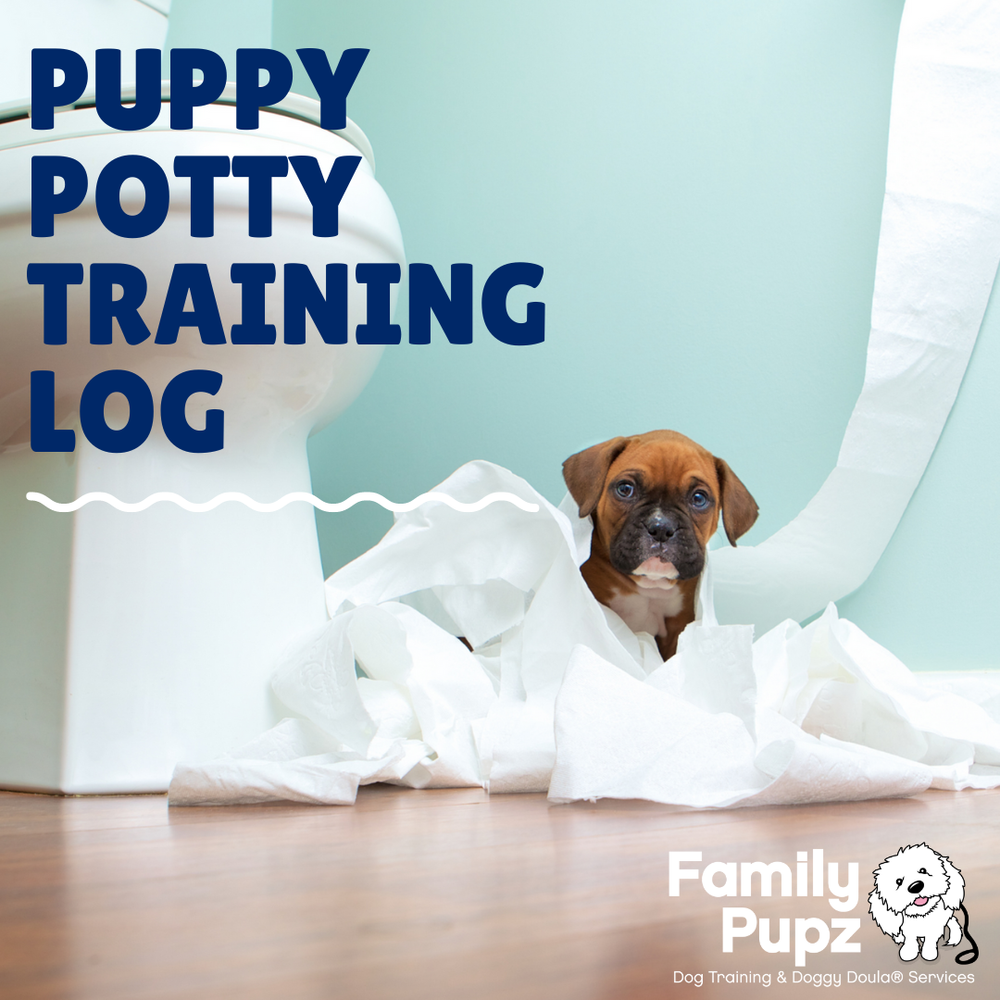 Puppy potty training for real dog lovers - I Live UpI Live Up