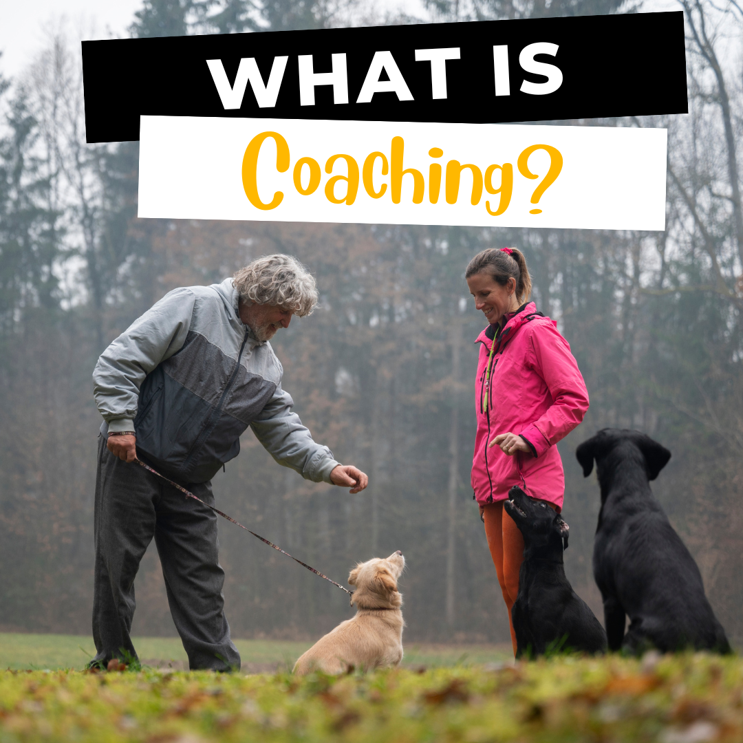 What Is “Coaching” Dog Training?