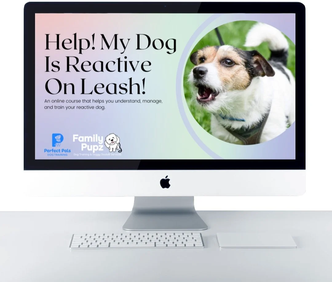 Online Dog Training Courses