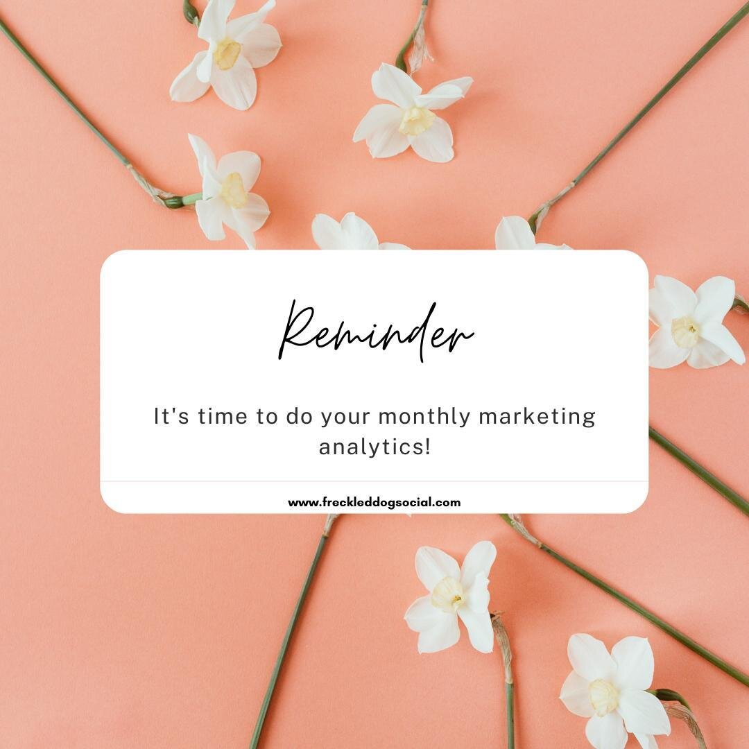 A gentle reminder that a new month has started and it's time to track your marketing analytics for last month. ⁠
⁠
Need help getting started with your marketing? Check out freckleddogsocial.com⁠
.⁠
.⁠
.⁠
⁠
#denver #denvermarketing #freckleddogsocial 