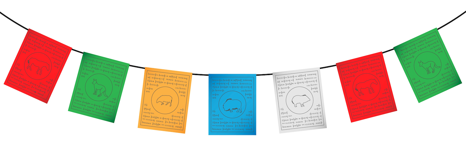 Stage de Reiki par Réjane Schweizer