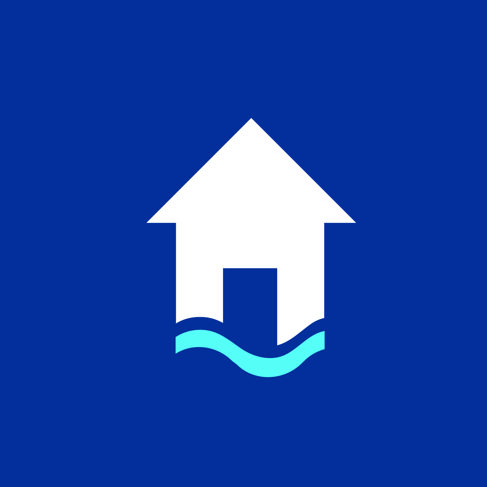 Website Graphics-04.jpg