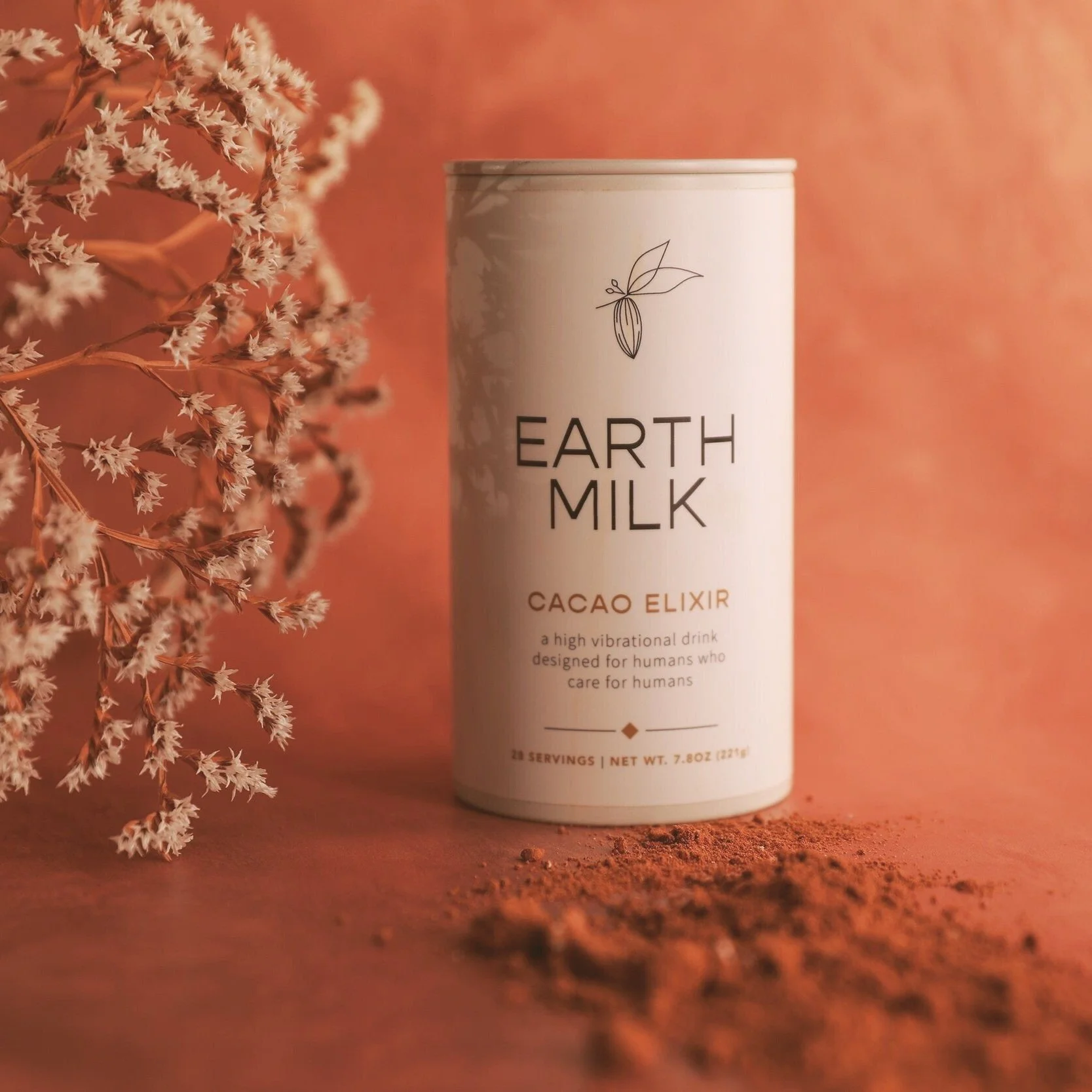 Cacao.jpg